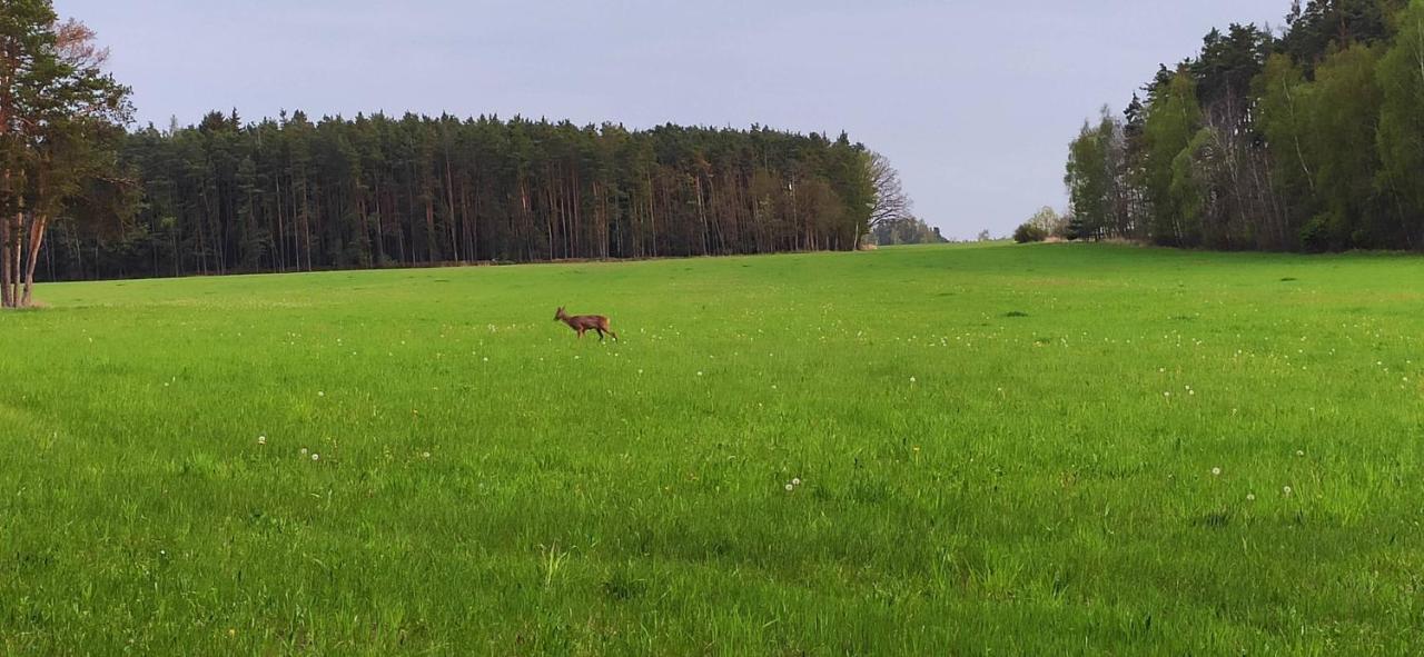 Chata Marecek - V Lesni Osade U Reky Luznice Skalice エクステリア 写真